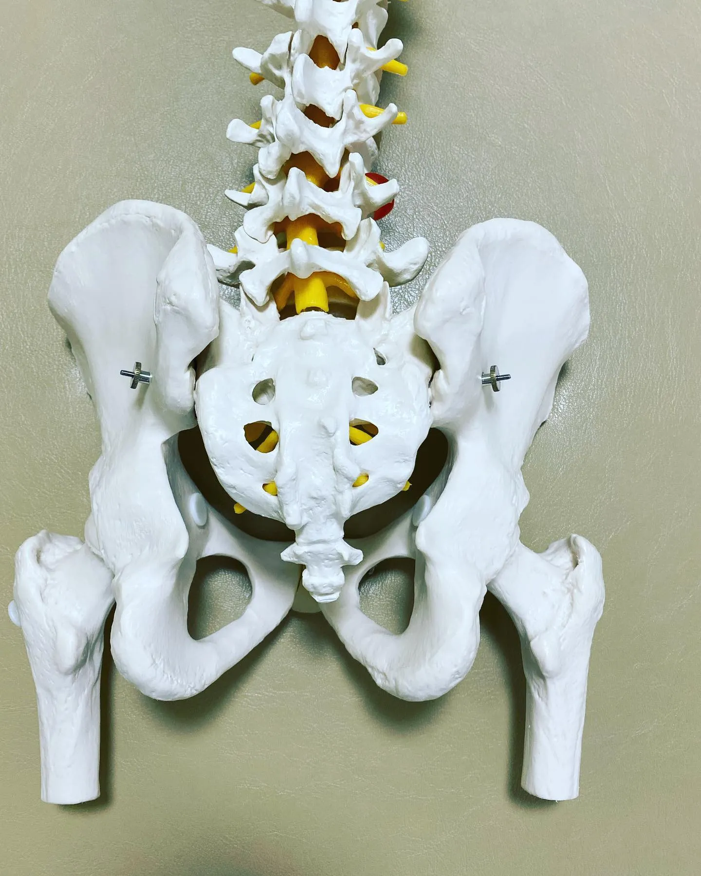 名古屋市西区で骨盤矯正できる接骨院です！