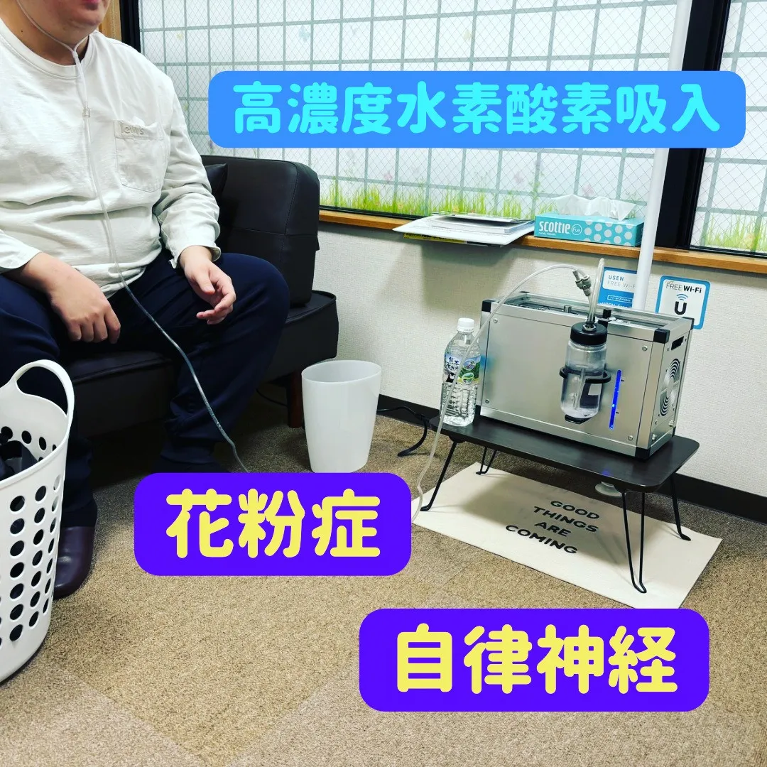 🌸春の花粉症や黄砂でお悩みの方へ🌬️✨ 