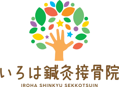 ホームページを開設いたしました！